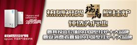 瑞馬燃氣壁掛爐，壁掛爐產品，哪個牌子的壁掛爐好